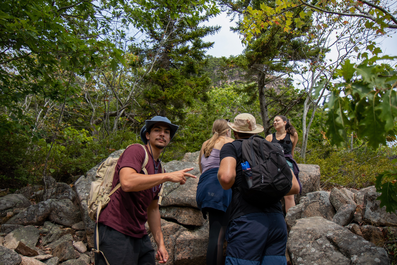 Acadia - 1 of 24.webp