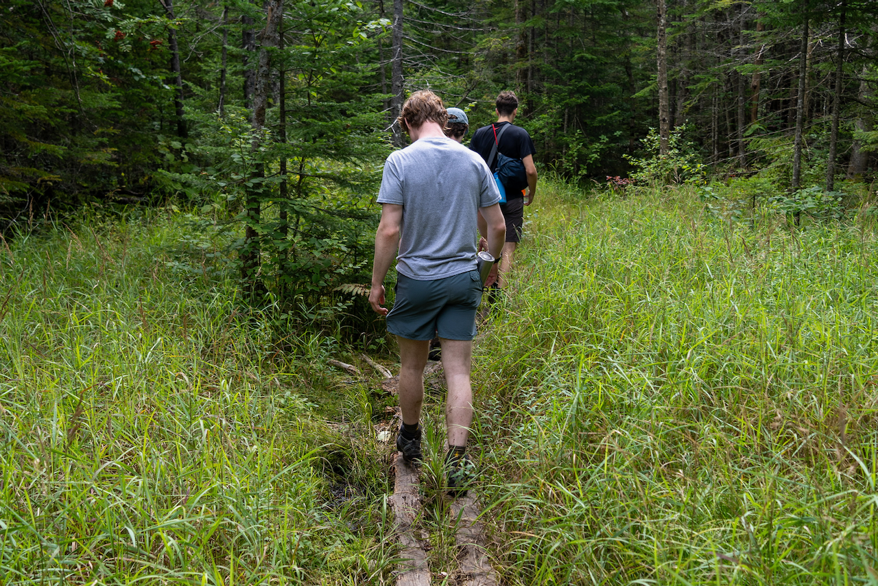 Garfield overnight - 12 of 21.webp