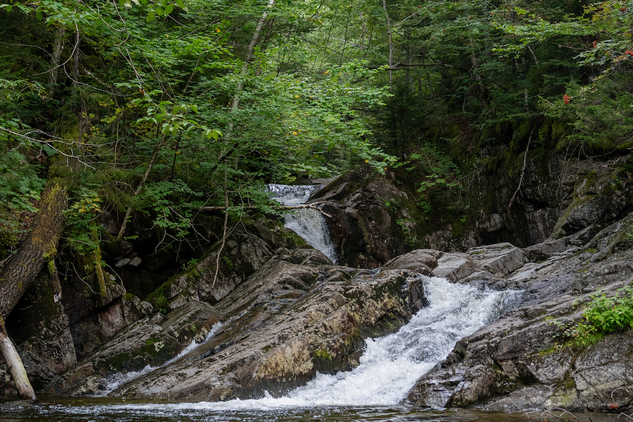 Garfield overnight - 13 of 21.webp