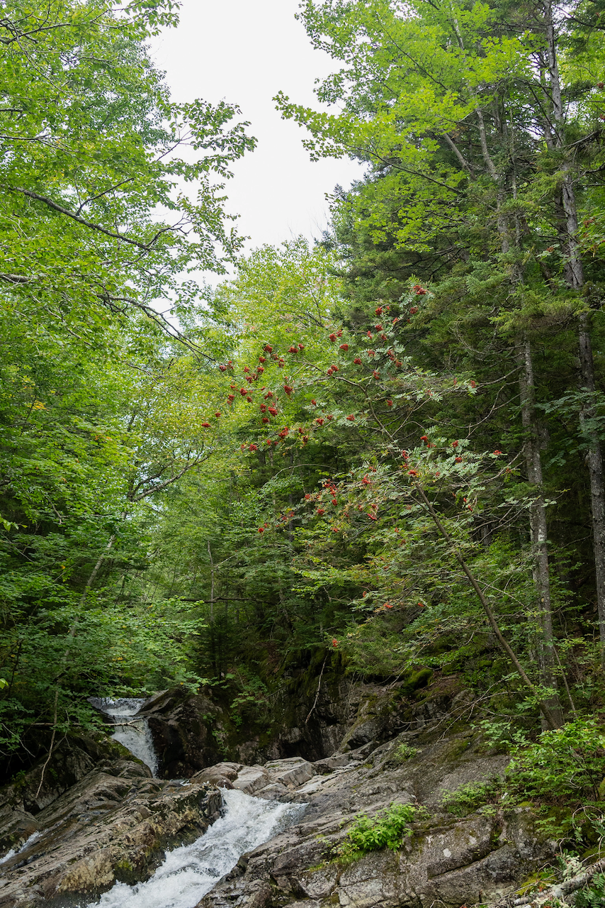 Garfield overnight - 14 of 21.webp