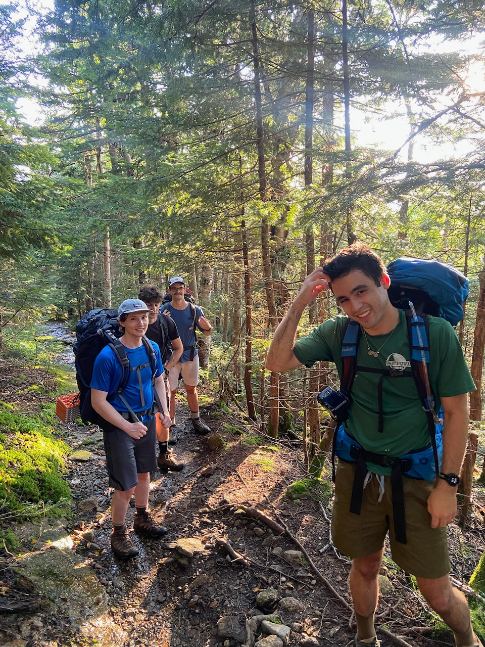 Garfield overnight - 19 of 21.webp