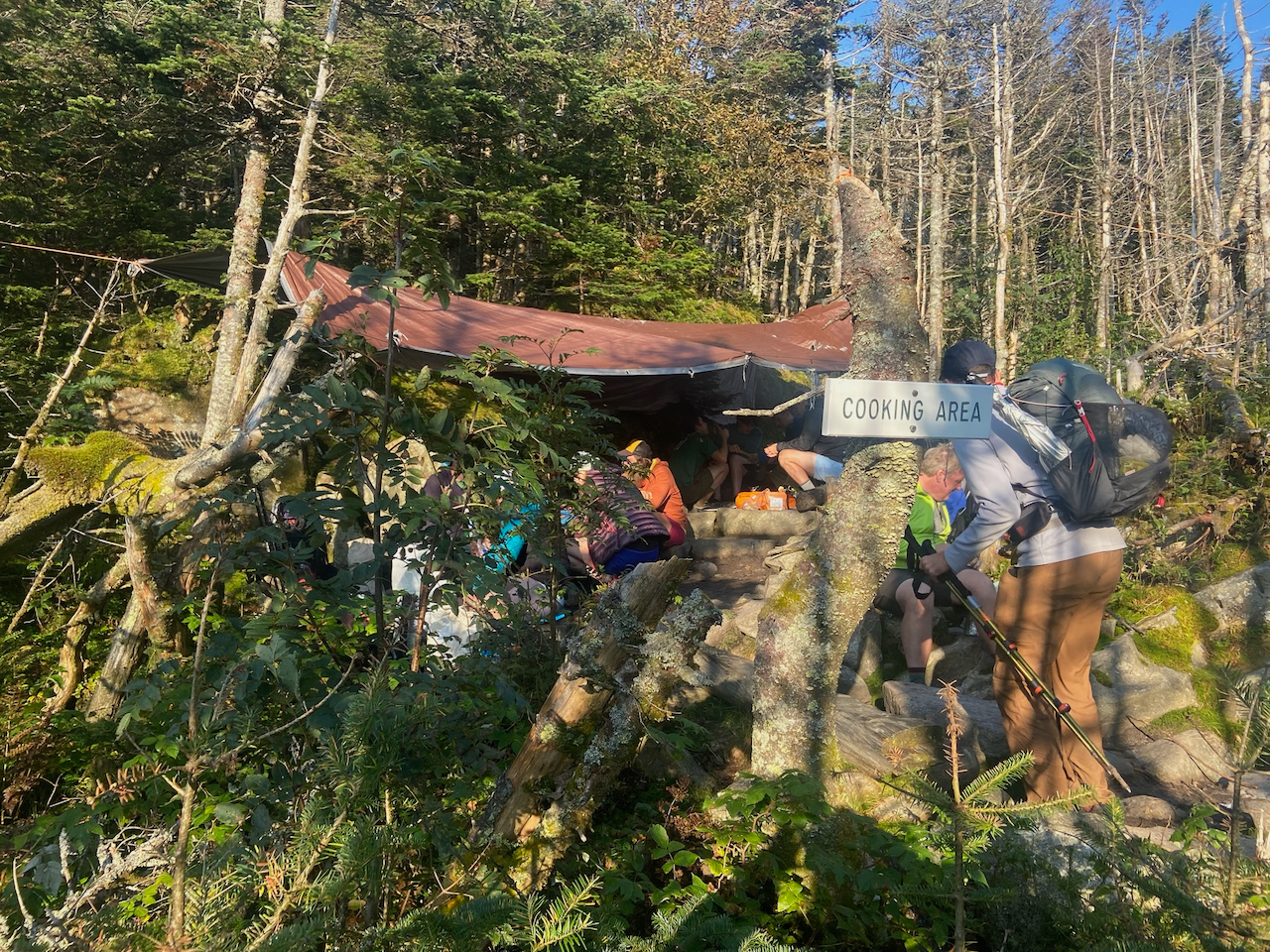 Garfield overnight - 21 of 21.webp